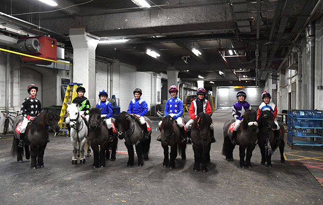 Ready for battle: the Shetlands line up ahead of another nail-biting race