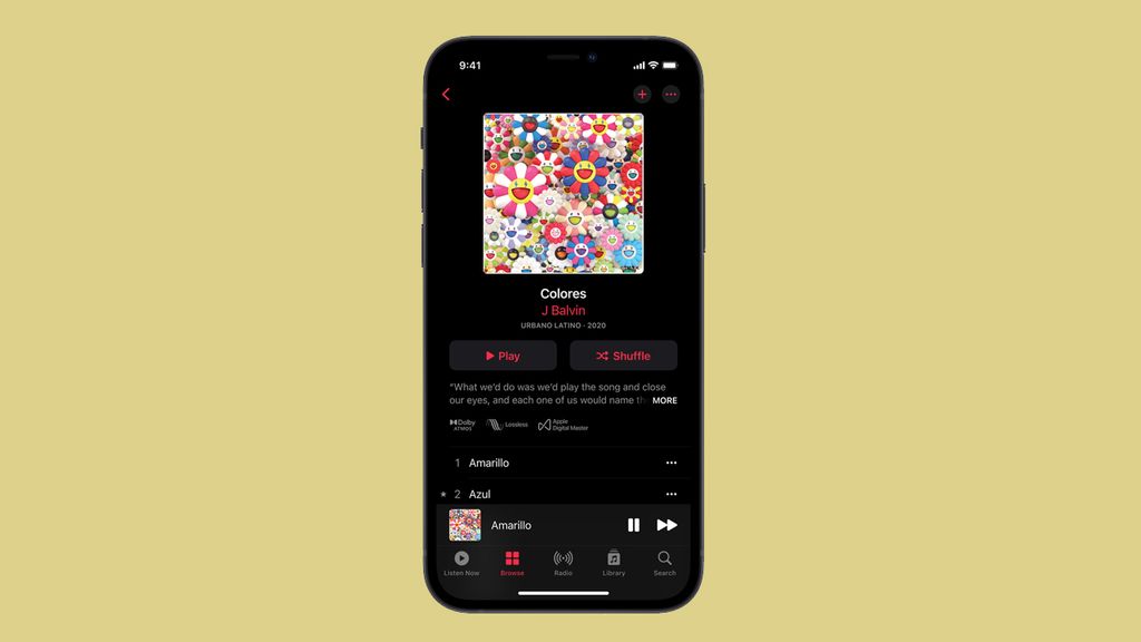 BEST MUSIC STREAMING SERVICES REVIEW 2024 SPOTIFY VS APPLE MUSIC visual data 8