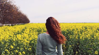 People in nature, Rapeseed, Yellow, Mustard plant, Plant, Canola, Flower, Crop, Mustard, Spring, 