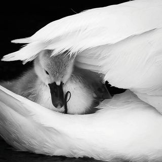 Josh Clark Mothers Love River Stour, Dorset