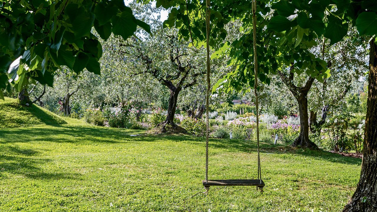 An example of sloping garden ideas showing a sloped lawn with trees and a swing