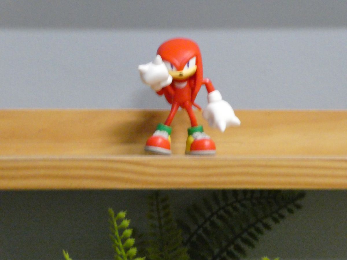 Image of a figurine to show the optical mage stabilization capabilities of the Panasonic Lumix ZS99/TZ99.