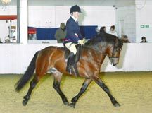 Chloe Chubb riding Windy