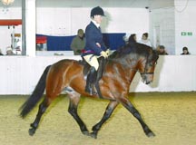 Chloe Chubb riding Windy