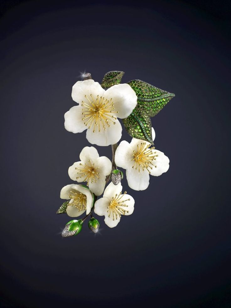 Queen Maxima's Luz Camino dogwood brooch