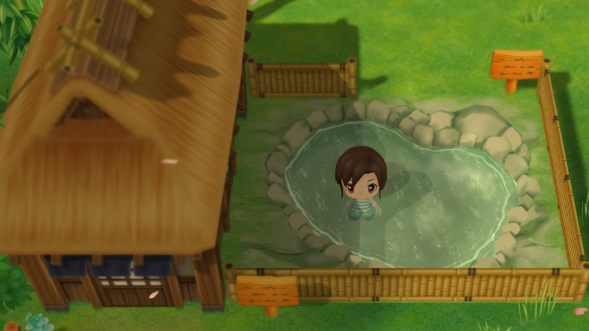 Story of Seasons: Friends of Mineral Town review | PC Gamer