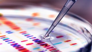 Prince Philip's DNA, Pipette adding sample to petri dish with DNA profiles in background