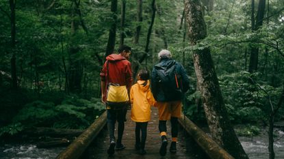 A father, grandfather and daughter walk together over a bridge in a Japanese forest.