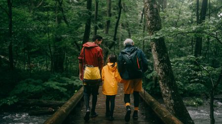 A father, grandfather and daughter walk together over a bridge in a Japanese forest.