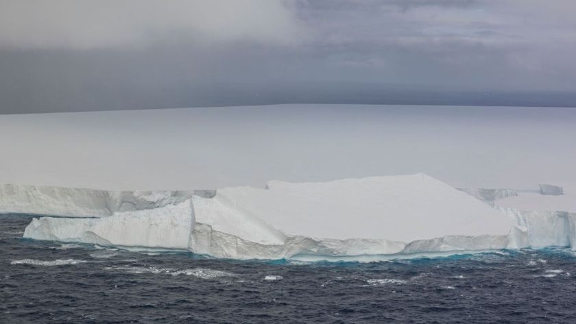 A large chunk breaks off the iceberg dubbed A23a and we see it falling into the ocean.