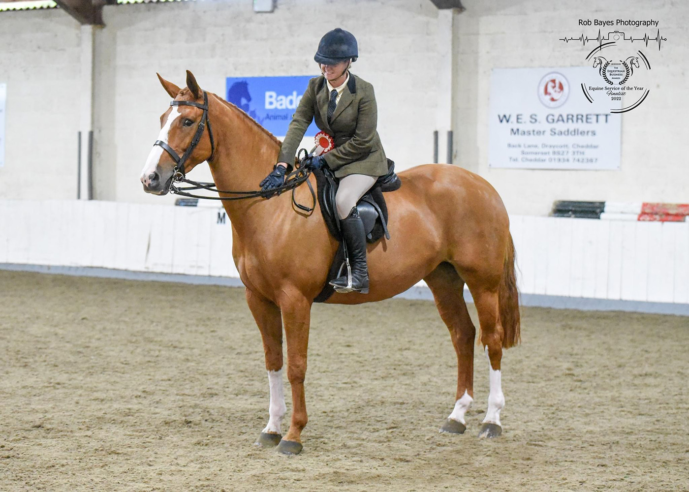 Ballyheerin Dream and Helen Anderson