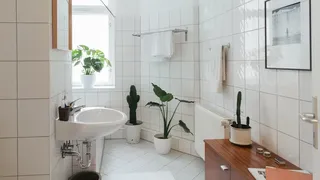 White bathroom with plants