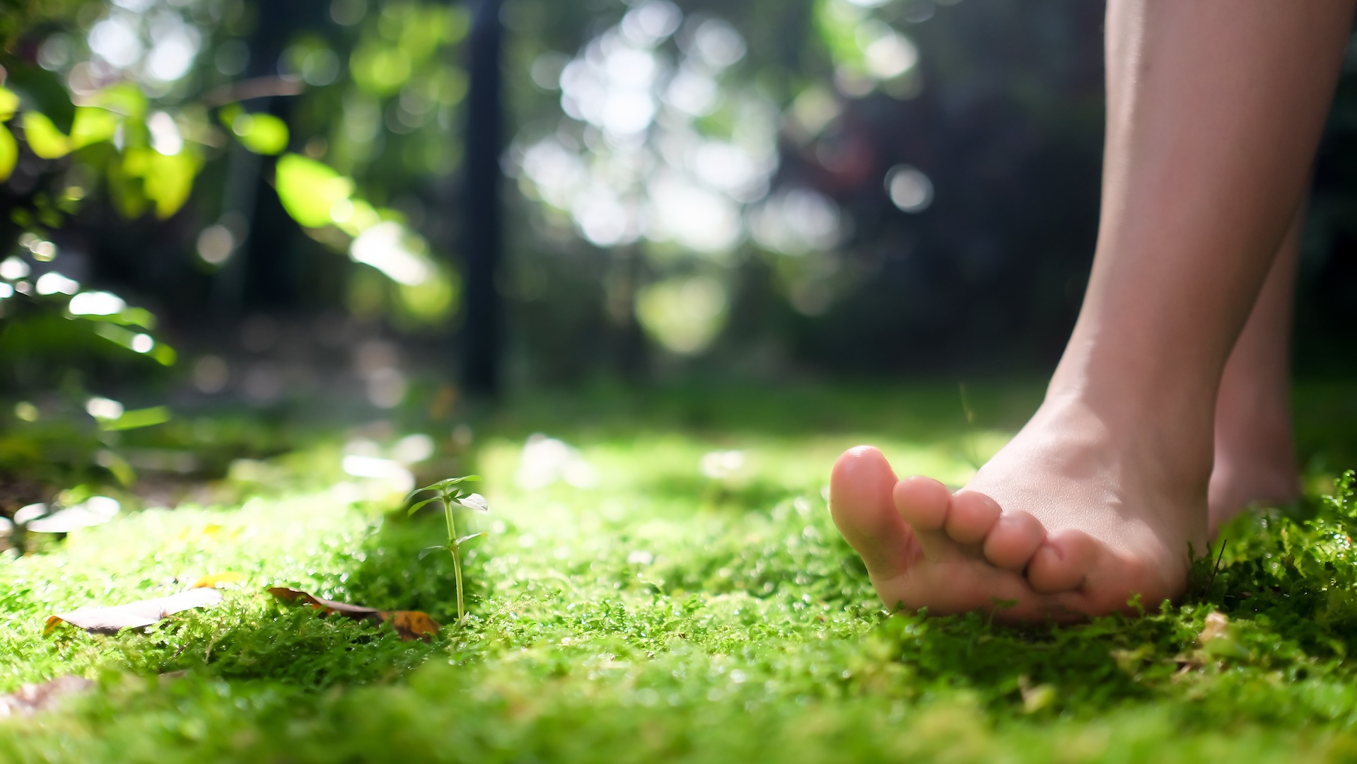 La foto muestra un primer plano del pie descalzo de una persona blanca mientras pisa un suave lecho de hierba.