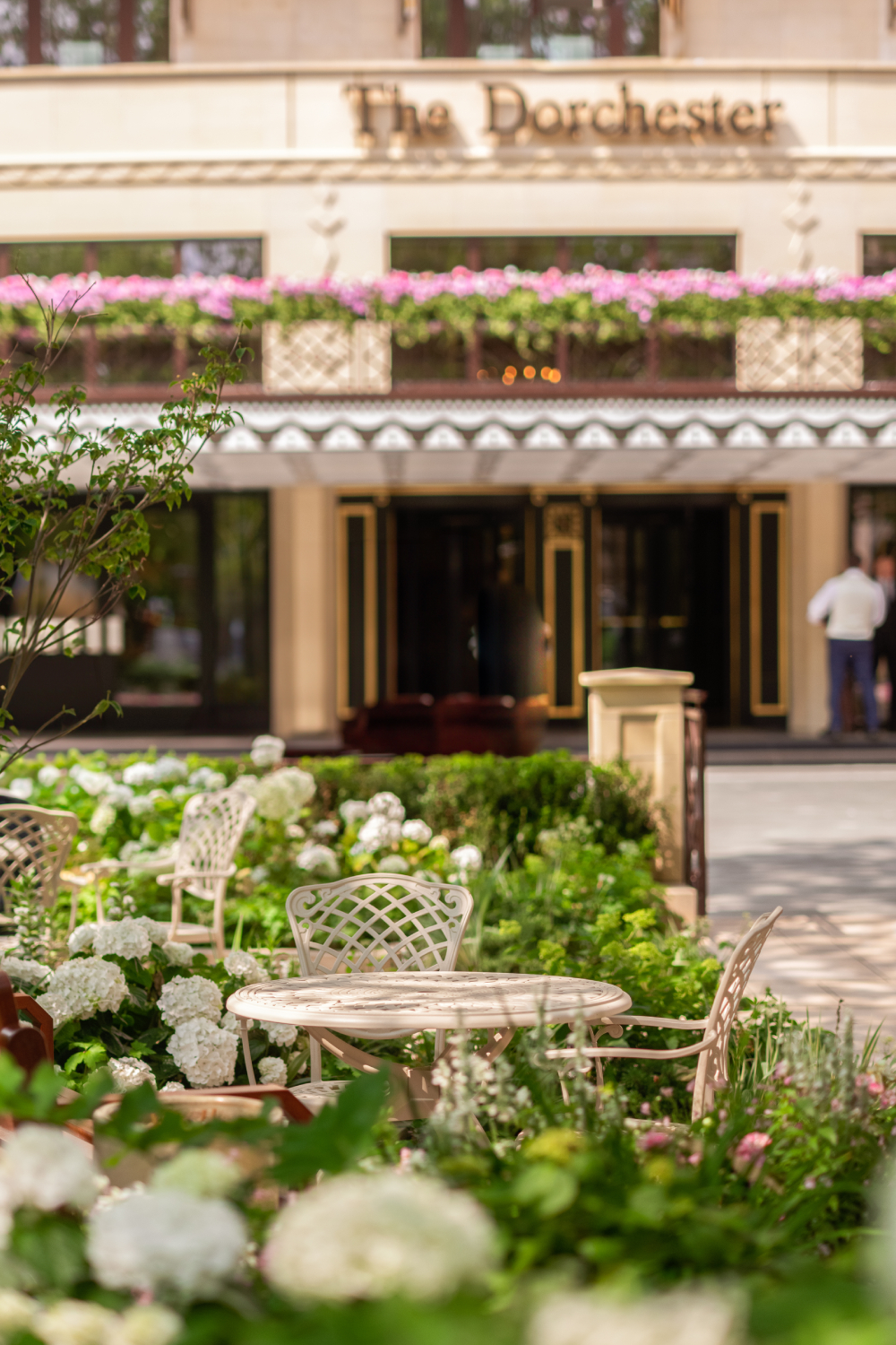 The Dorchester garden