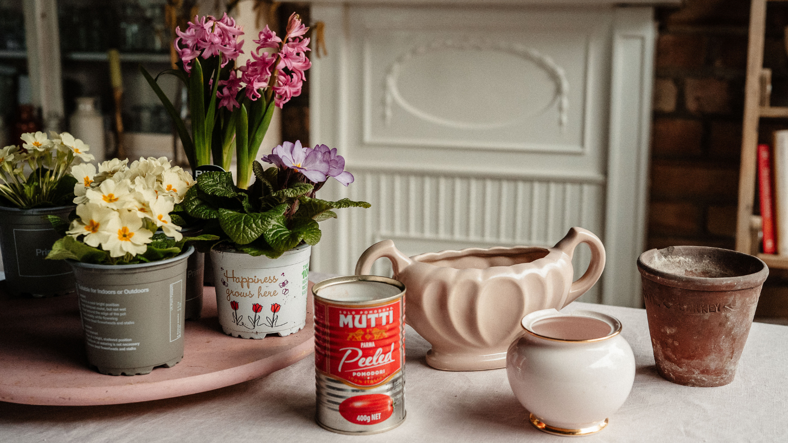 Primroses in plastic pots, nect to a mix of vintage containers, pots, tins and planters
