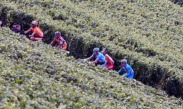 The breakaway rides through the Burgundy vineyards