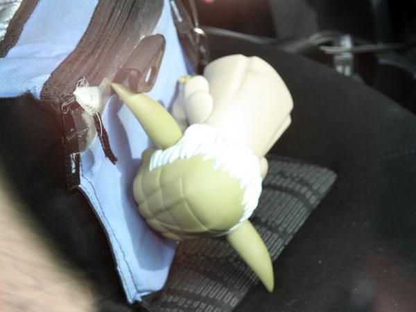 Garmin-Cerv&eacute;lo is enjoying a magical ride so far at this year's Tour de France. Perhaps the force is on their side judging by this little guy riding shotgun in one of the team cars.