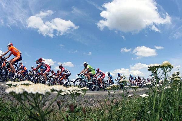 The peloton in the sunshine