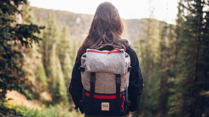 A woman looking into a forrest with one of the best backpacks on her back, ready for adventure