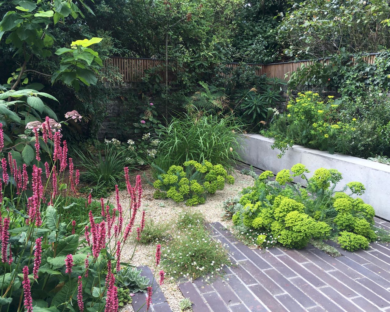 How to plan a dry garden: Ideas for landscaping and plants | Country