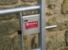 Zedlock-2-001.jpg