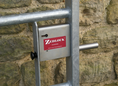 Zedlock-2-001.jpg