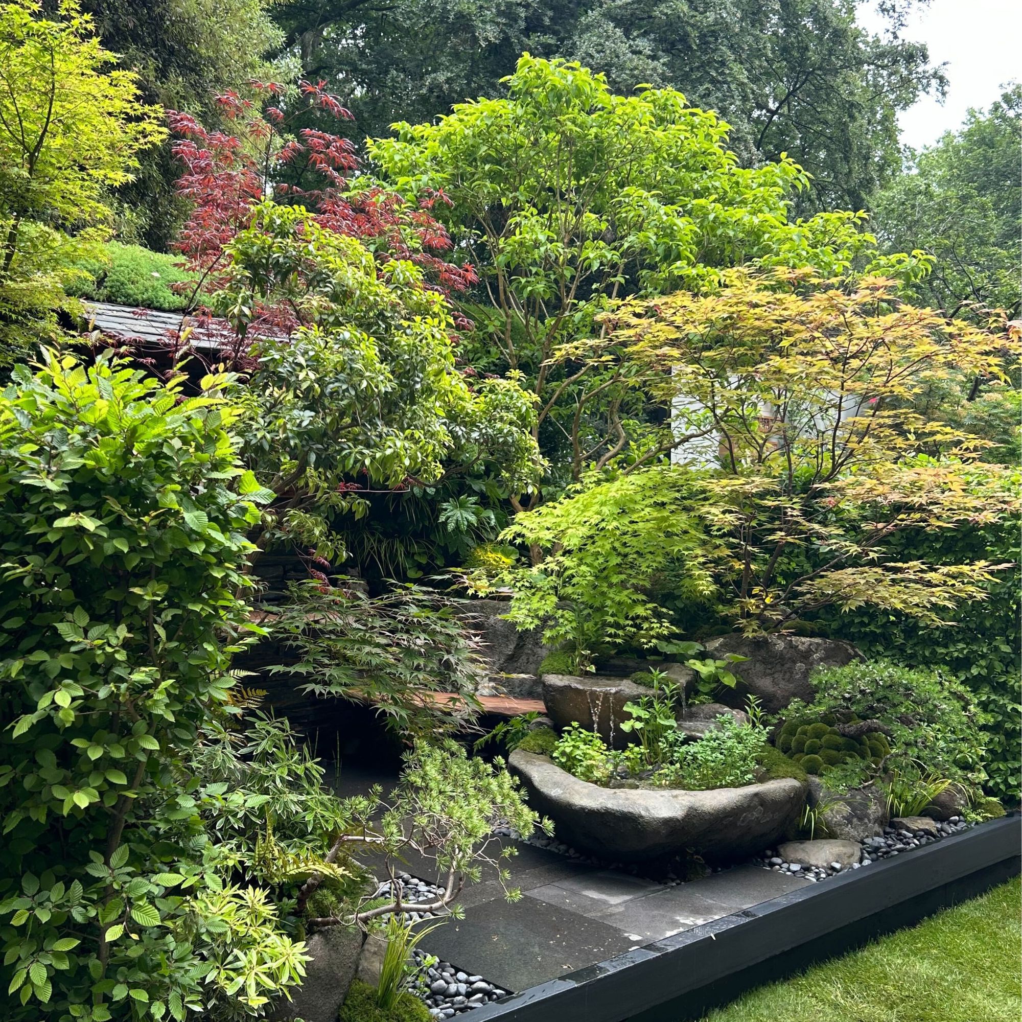 Secret Base – The Another Green Room Garden at the RHS Chelsea Flower Show 2025