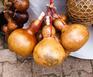 Dried gourds being used as water bottles