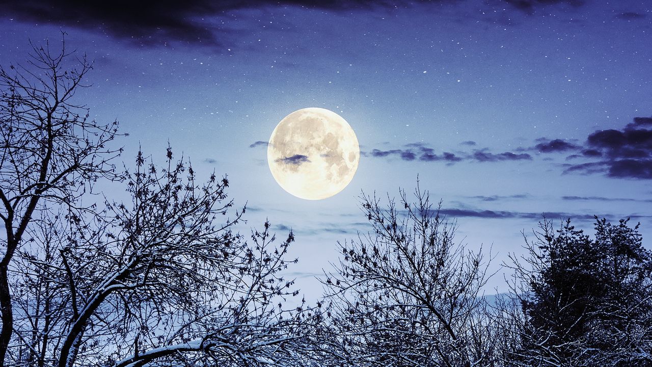 Park in winter at night with Moon in the sky.