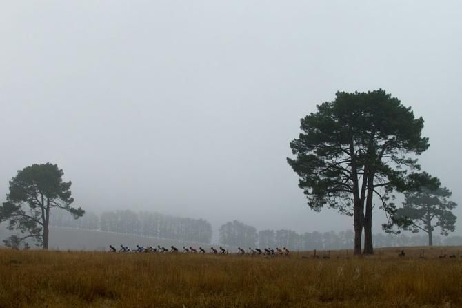 The peloton at the Cape Epic