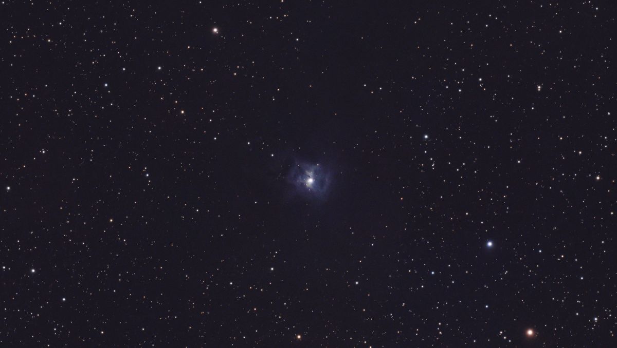 A photograph of the Iris Nebula, taken with the Dwarf III smart telescope, processed in Pixinsight