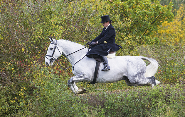 Record number of side saddle riders attend Quorn Hunt Opening Meet.