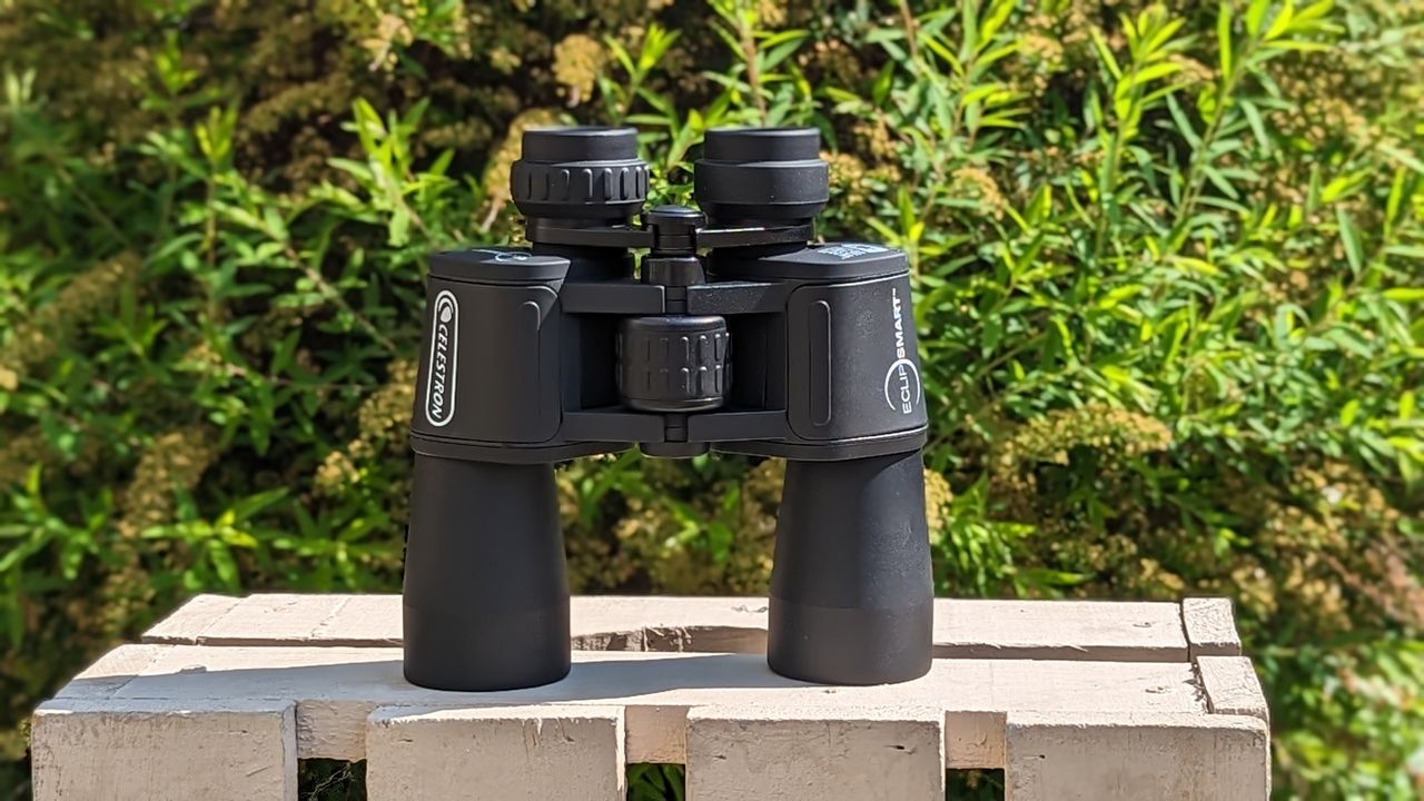 Front view of binoculars standing on wooden platform in front of foliage