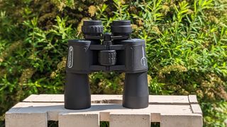 Front view of binoculars standing on wooden platform in front of foliage