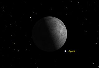 Tuesday/Wednesday, July 16/17, 12:00 midnight EDT. The first quarter Moon passes just north of the bright star Spica in Virgo. In the central Pacific Ocean, southern Central America, and northwestern South America, the Moon will pass in front of Spica, occulting its light.