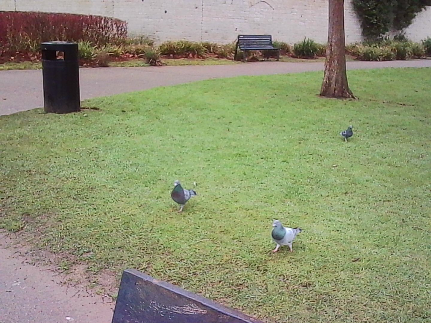 A photo taken on a Kodak Charmera keychain camera