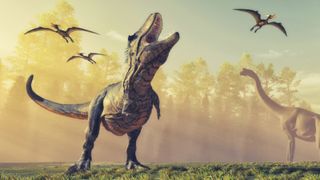 Fewer T. rex walked the Earth than previous estimated, new study