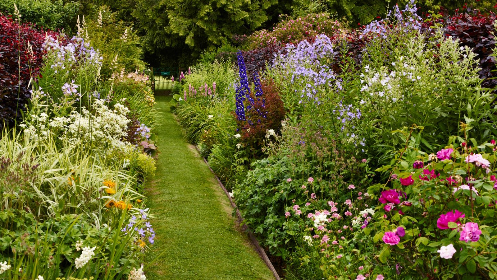 Plant wildflowers and perennials together