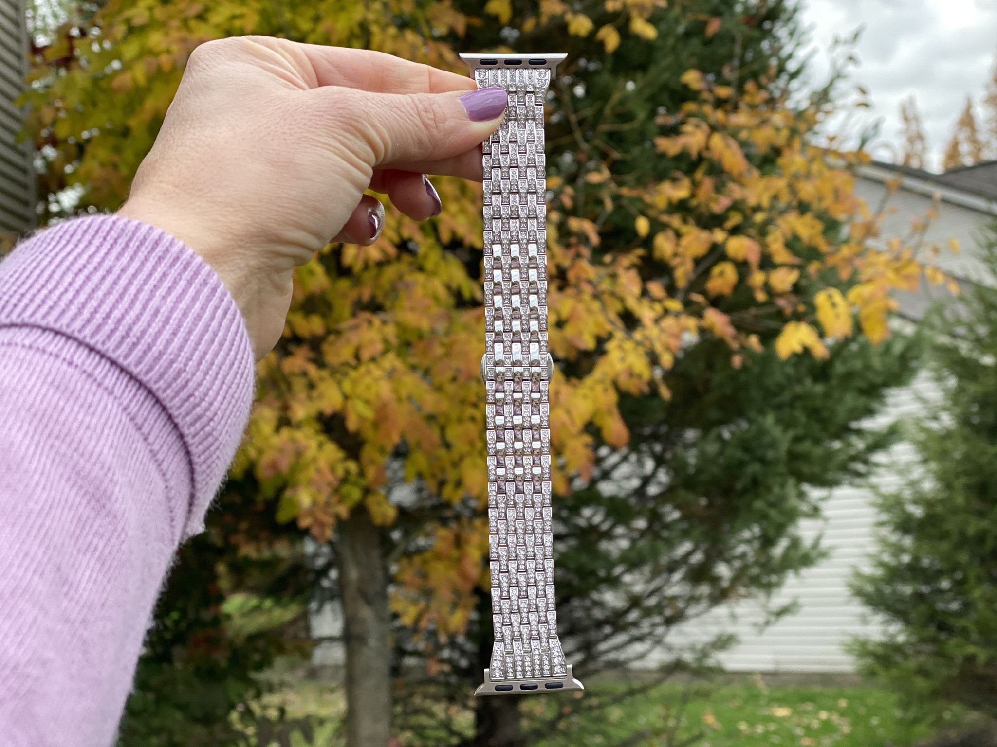 Wearlizer Crystal Rhinestone Apple Watch Band