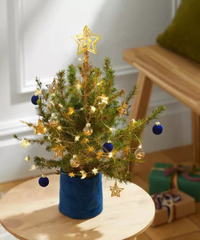 Starry Night Tree, 12cm | was £33, now £28.05 (using code CAREWILDLY15)  at Bloom and Wild