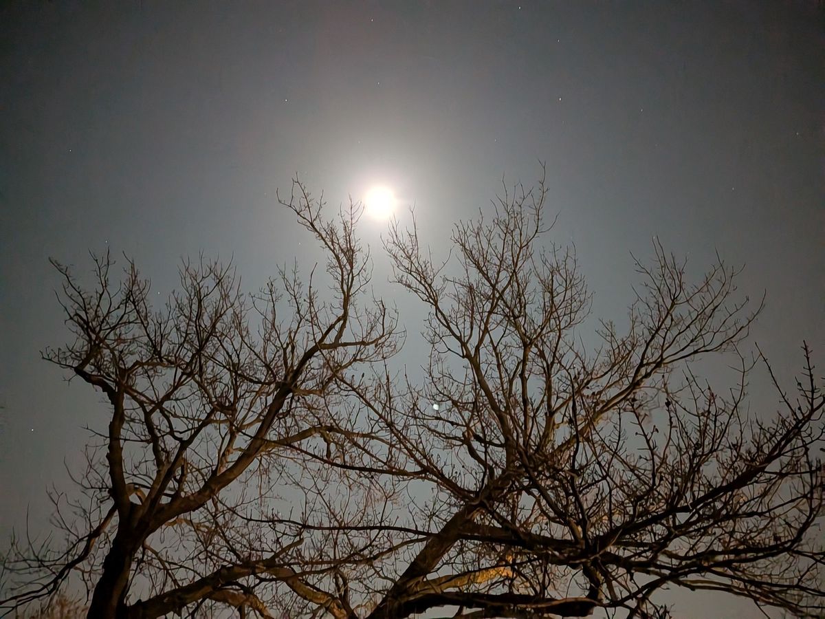 Pixel 9a astrophotography handheld.