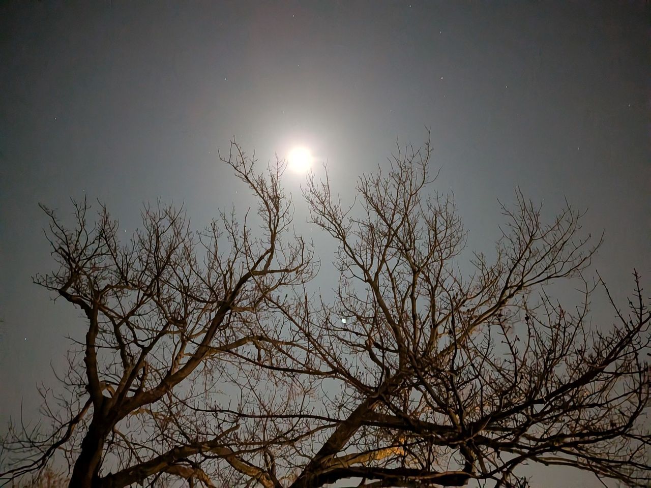 Pixel 9a astrophotography handheld.