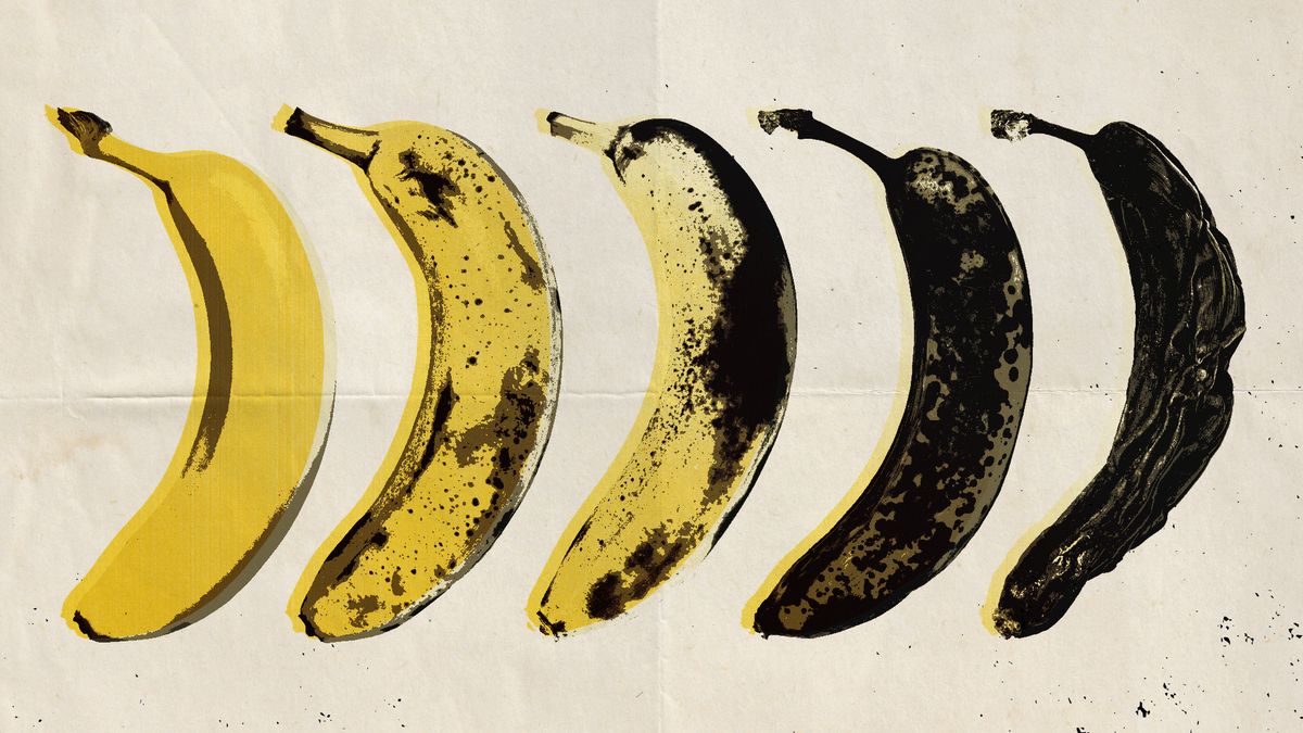 Scientists may have found a way to prevent the extinction of the banana plant