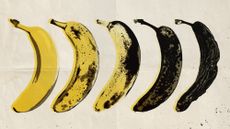 Photo collage of five bananas in progressive stages of decay, rendered in a pop-art style referencing Andy Warhol