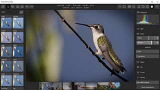 Polarr Adjustments