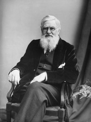 Alfred Russel Wallace, evolution