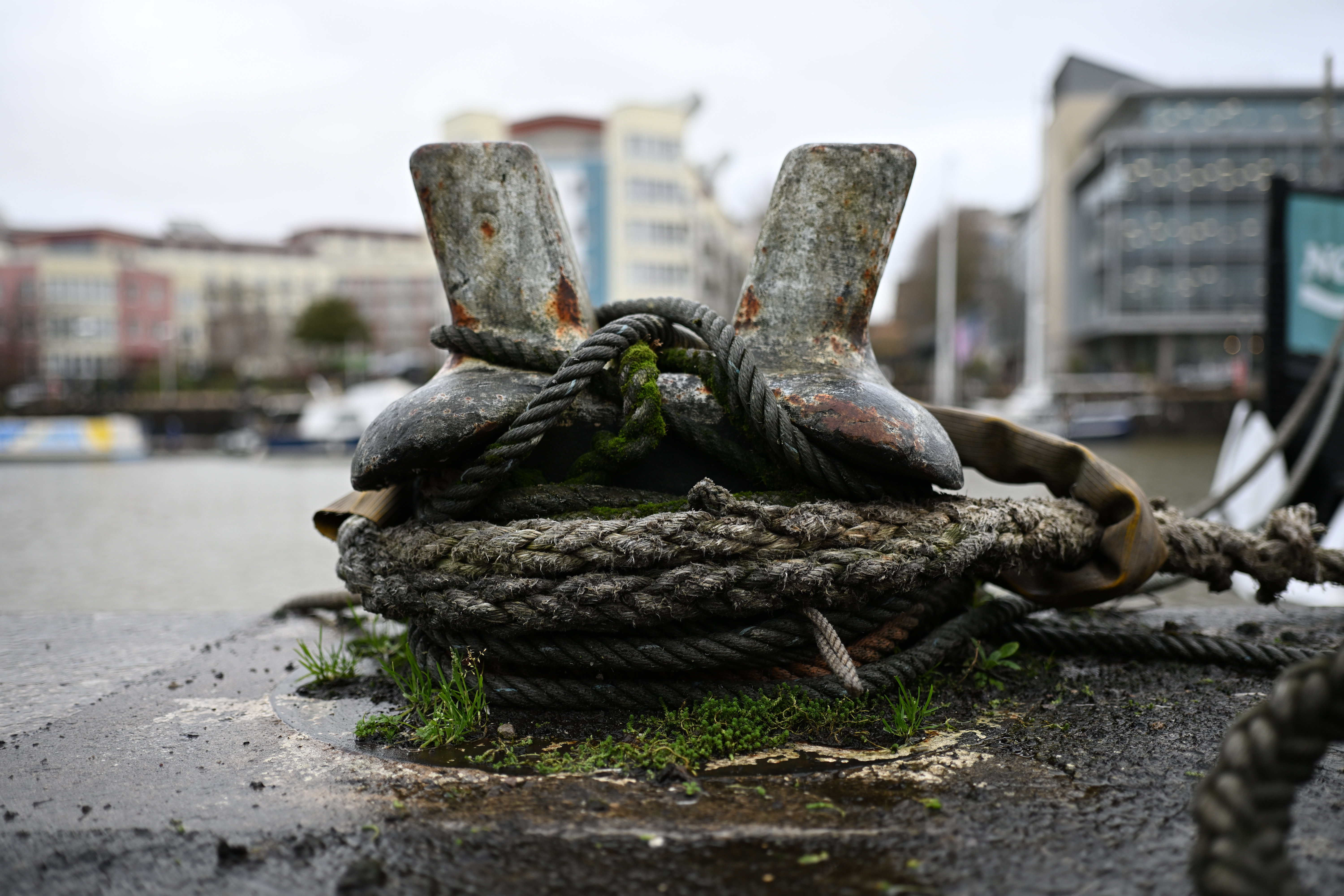 Meike 35mm f/1.8 Pro AF sample shot