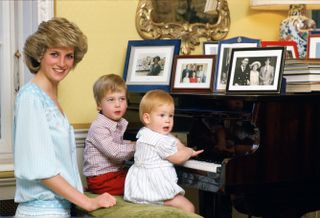 Prince Harry Prince William Princess Diana