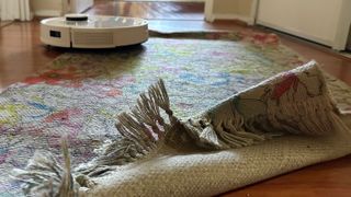 Deebot struggling of a tassel rug