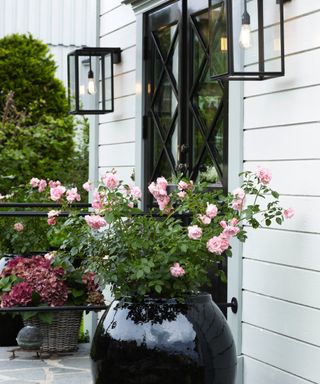 front porch with pair of blank lanterns, large black planter with pink roses, basket of hydrangeas, black front door, white shiplap walls, railings